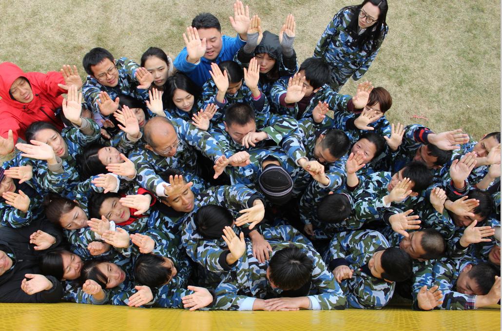 新中国成立七十周年系列活动之四：分所快讯