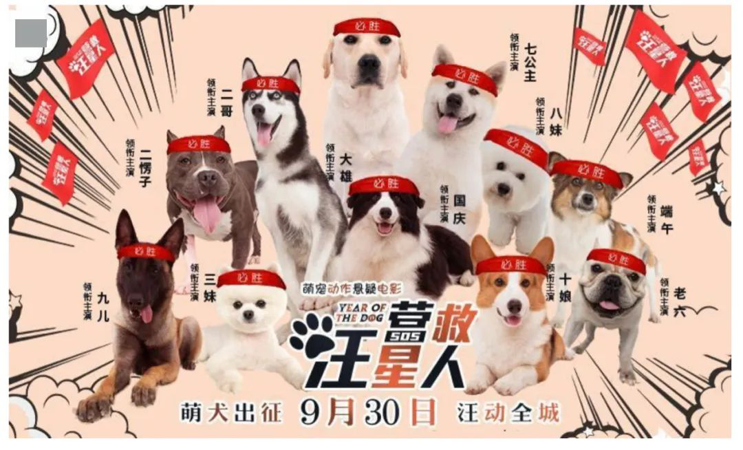 利用电影联合出品制度逃避债务执行？| 从一起因仲裁调解书强制执行而引起的执行异议之诉案谈起