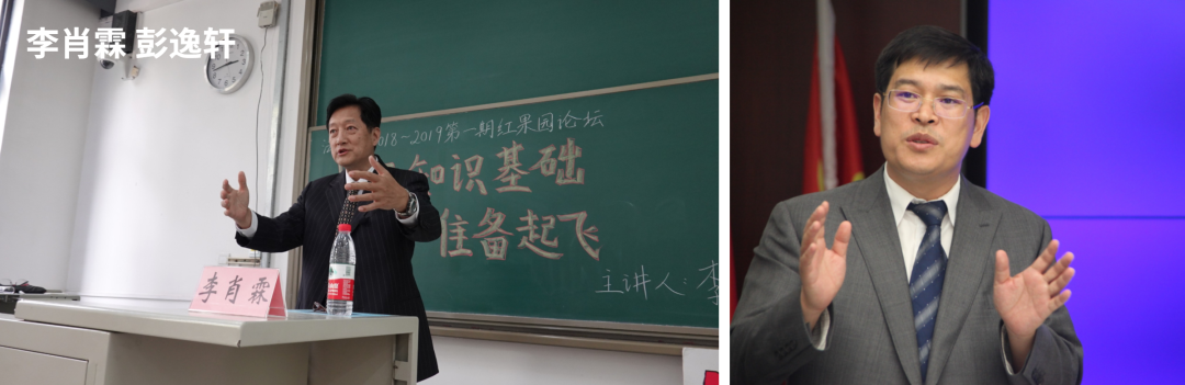 推开刑辩的门：十一名刑辩实习生的养成
