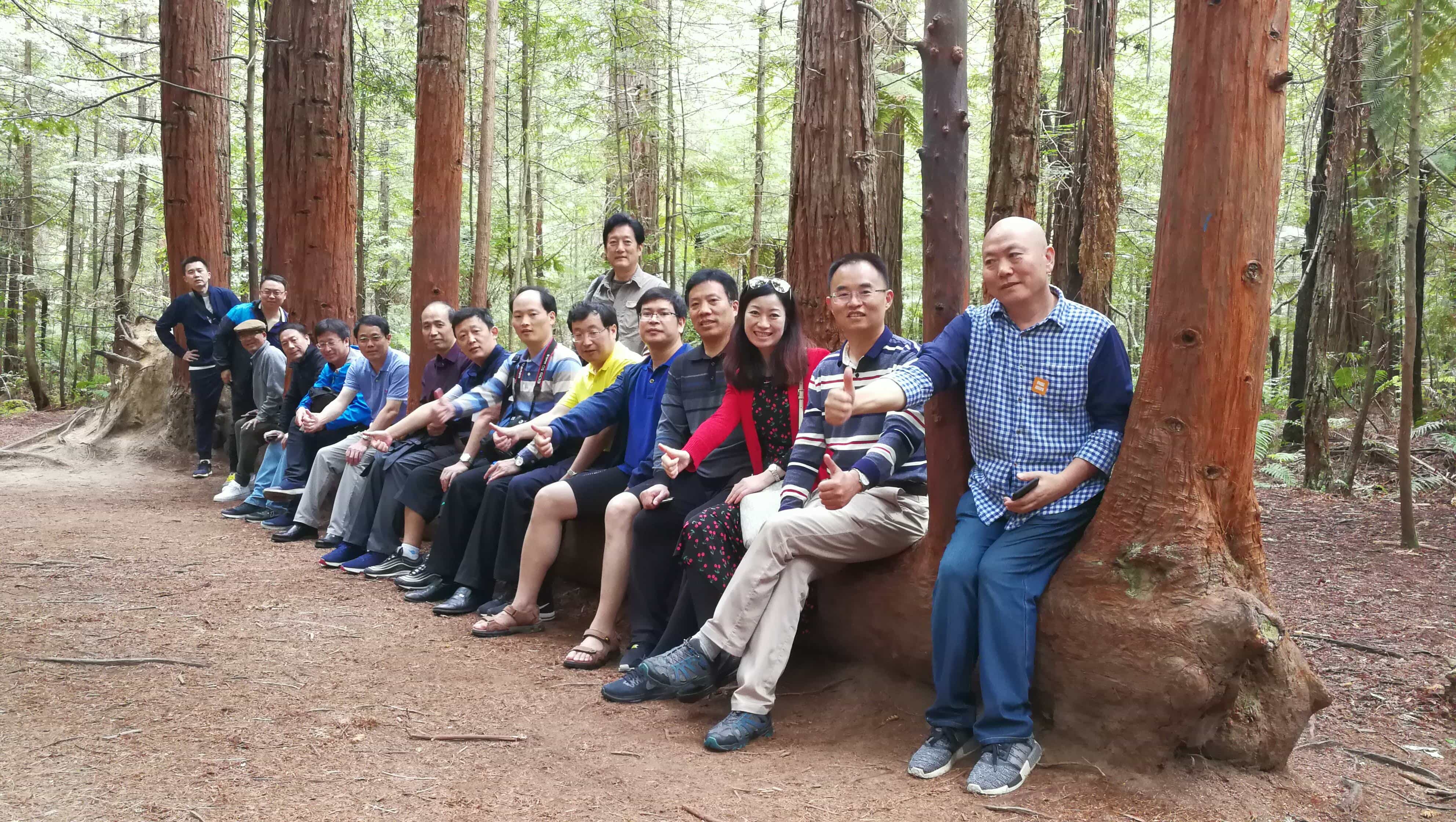人生若只如初见，还记得你最初那张脸 | 炜衡25周年之我的炜衡故事