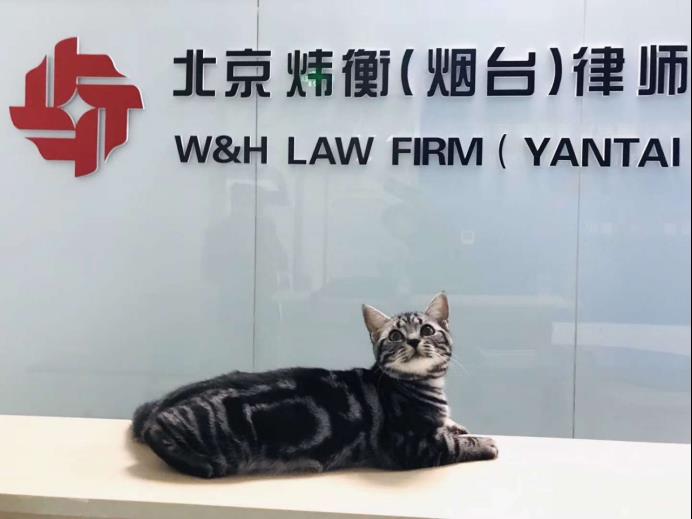 我有光阴不能朽 | 炜衡25周年之我的炜衡故事