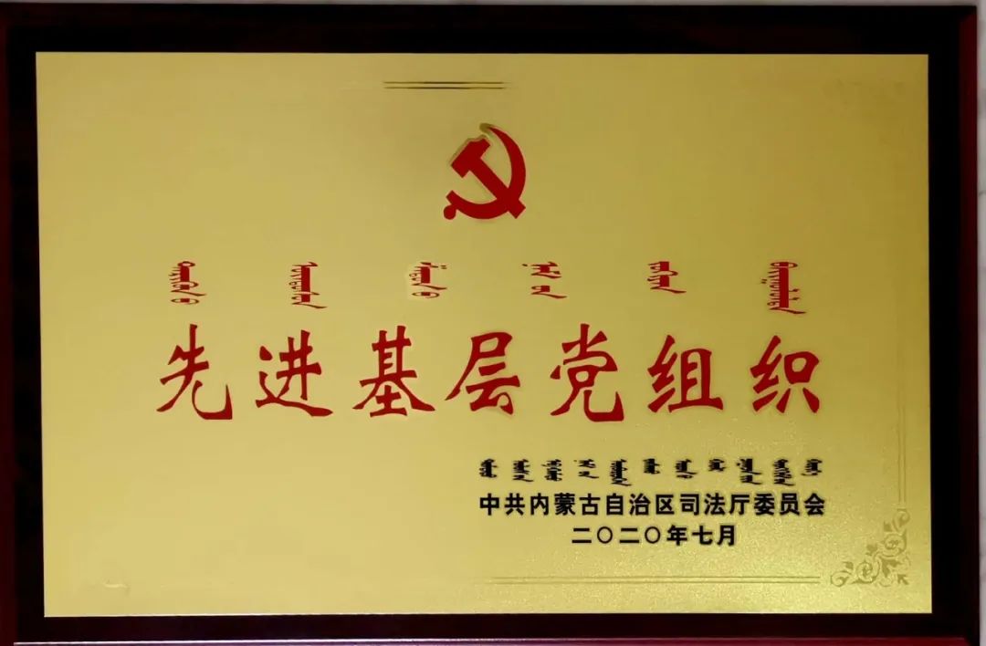 北京市炜衡（呼和浩特）律师事务所党支部被中共内蒙古自治区司法厅委员会评为先进基层党组织｜炜衡第三届全国党建工作会议胜利召开