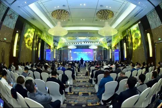 2020中国（成都）特殊资产投资高峰论坛圆满举行