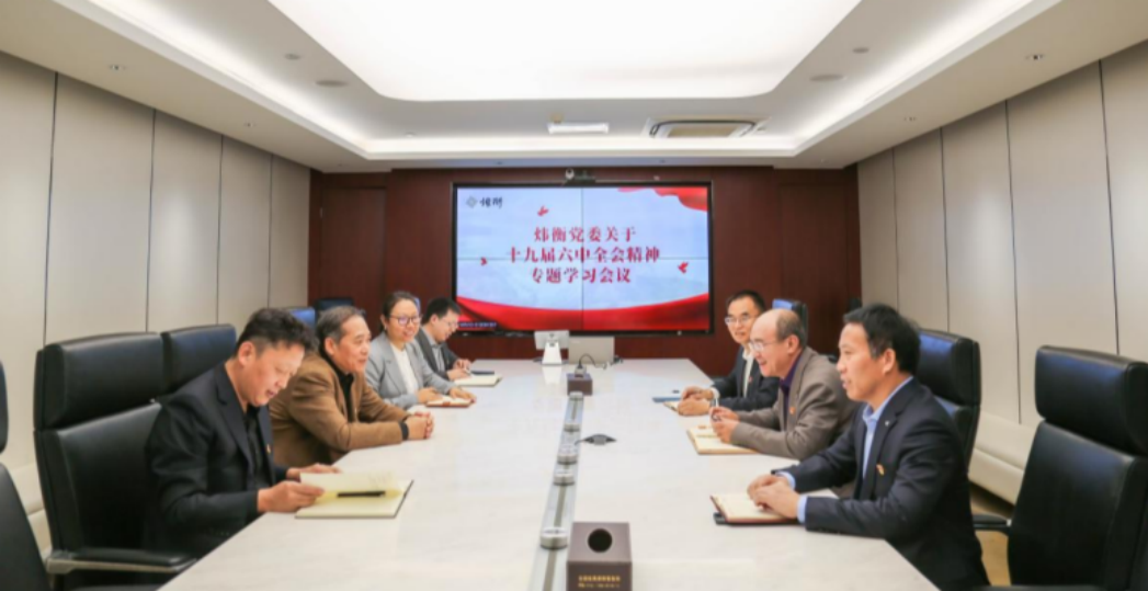 中共北京市炜衡律师事务所委员会学习贯彻十九届六中全会精神