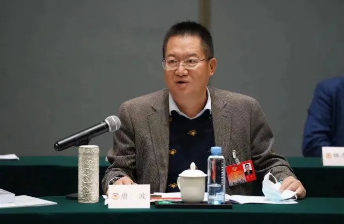矢志不渝跟党走，民主党派律师显担当 | 记炜衡民主党派律师的2022年