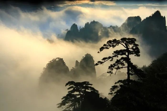 英伟达并购Arm芯片公司股权交易案假设未终止的反垄断调查及其法律政策选择的思考（一）
