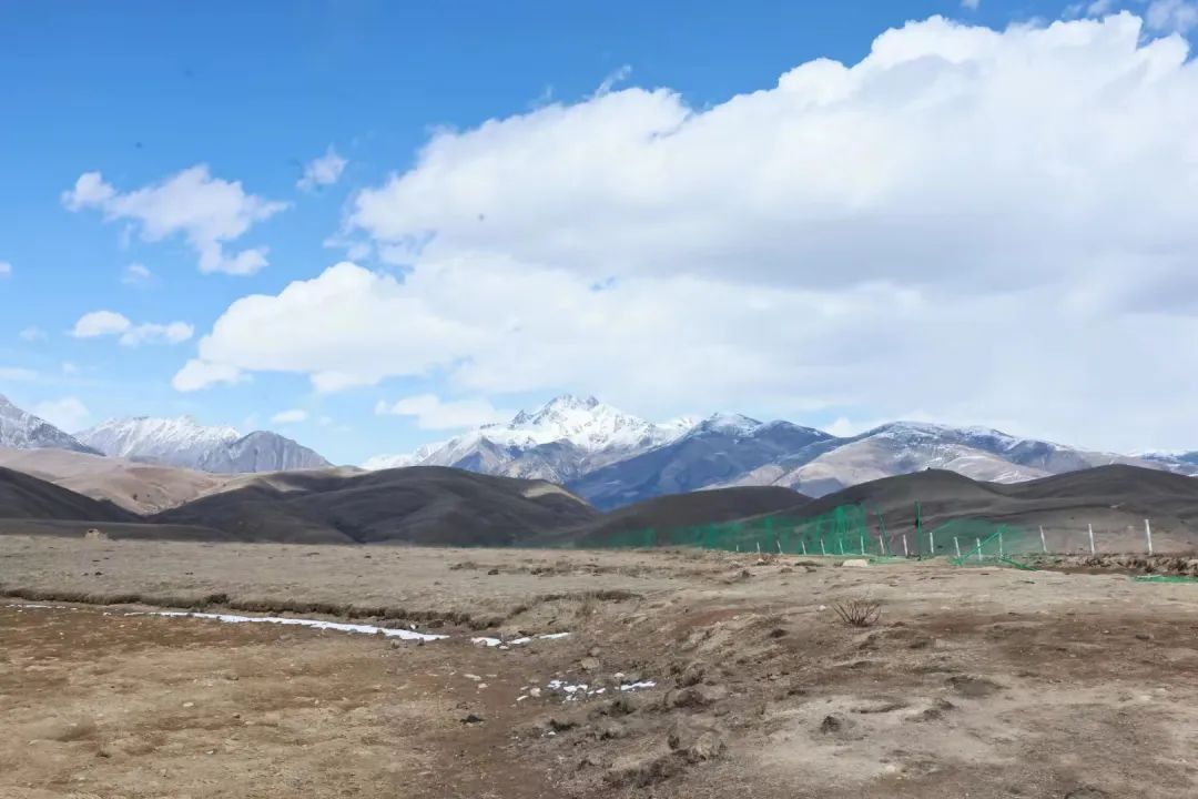 前路不明，果敢向前｜炜衡律师援藏漫记（三）