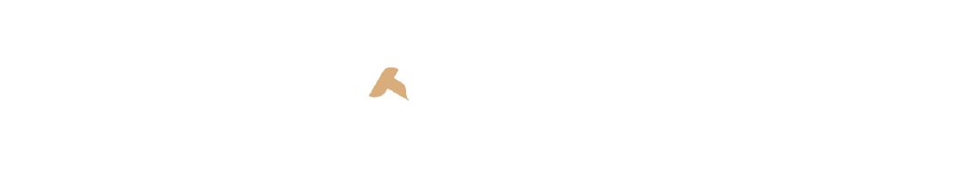1745389298700017.gif